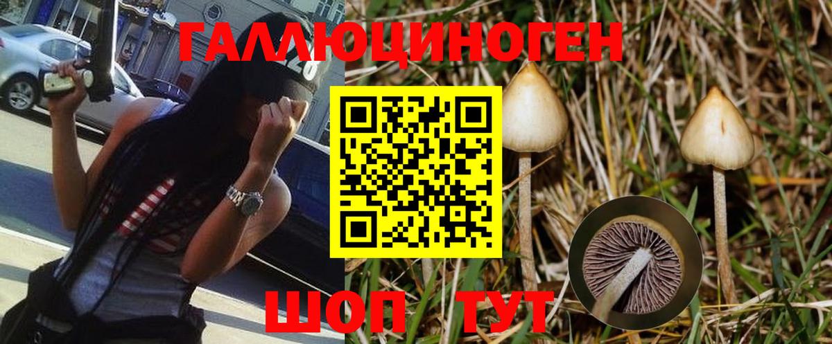 Галлюциногенные грибы Cubensis  Вход с VPN  Магадан  Галлюциногенные грибы мухоморы 